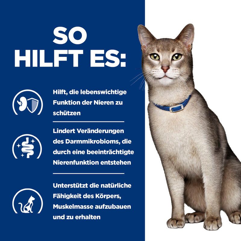Hill's Prescription Diet Feline Kidney Care K/D