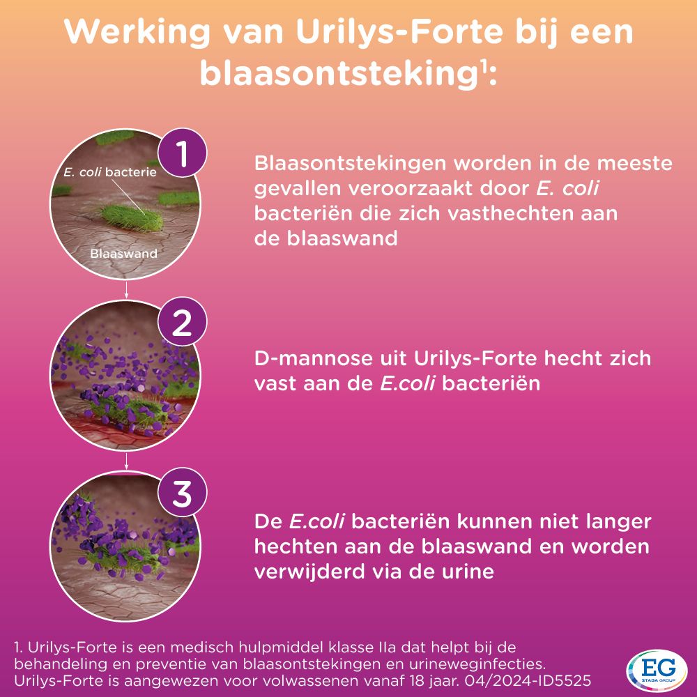 Urilys-Forte | Blaasontsteking & Urineweginfectie