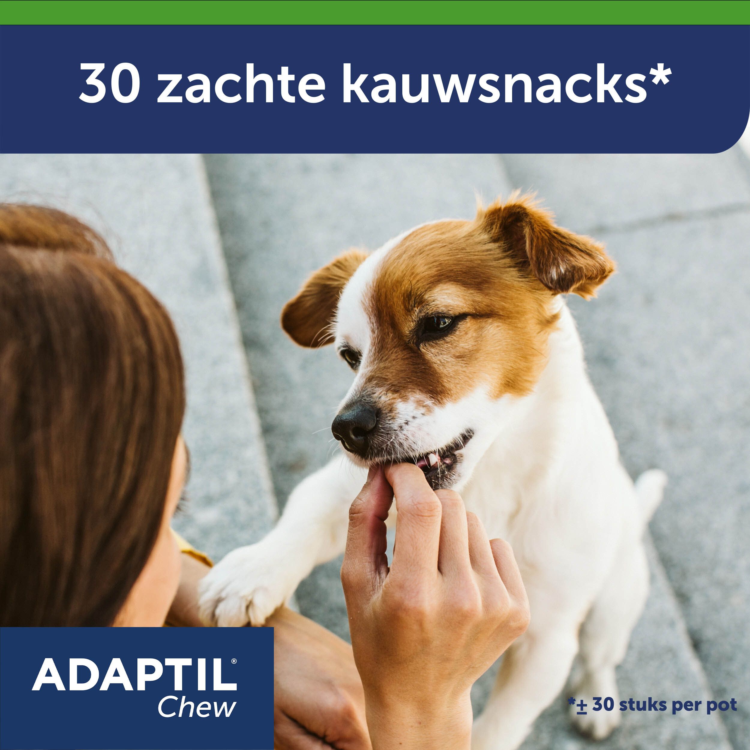 Adaptil Chew