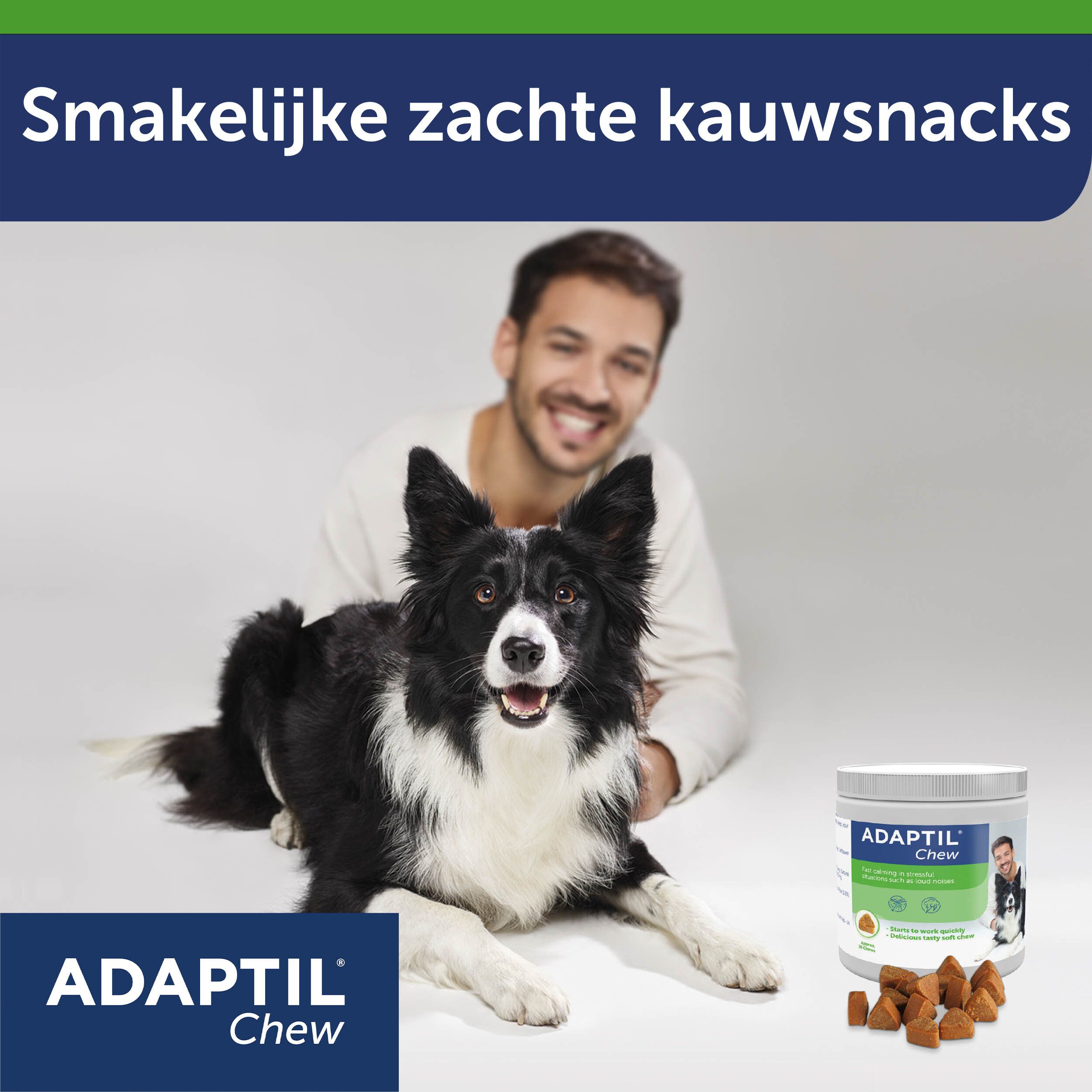 Adaptil Chew