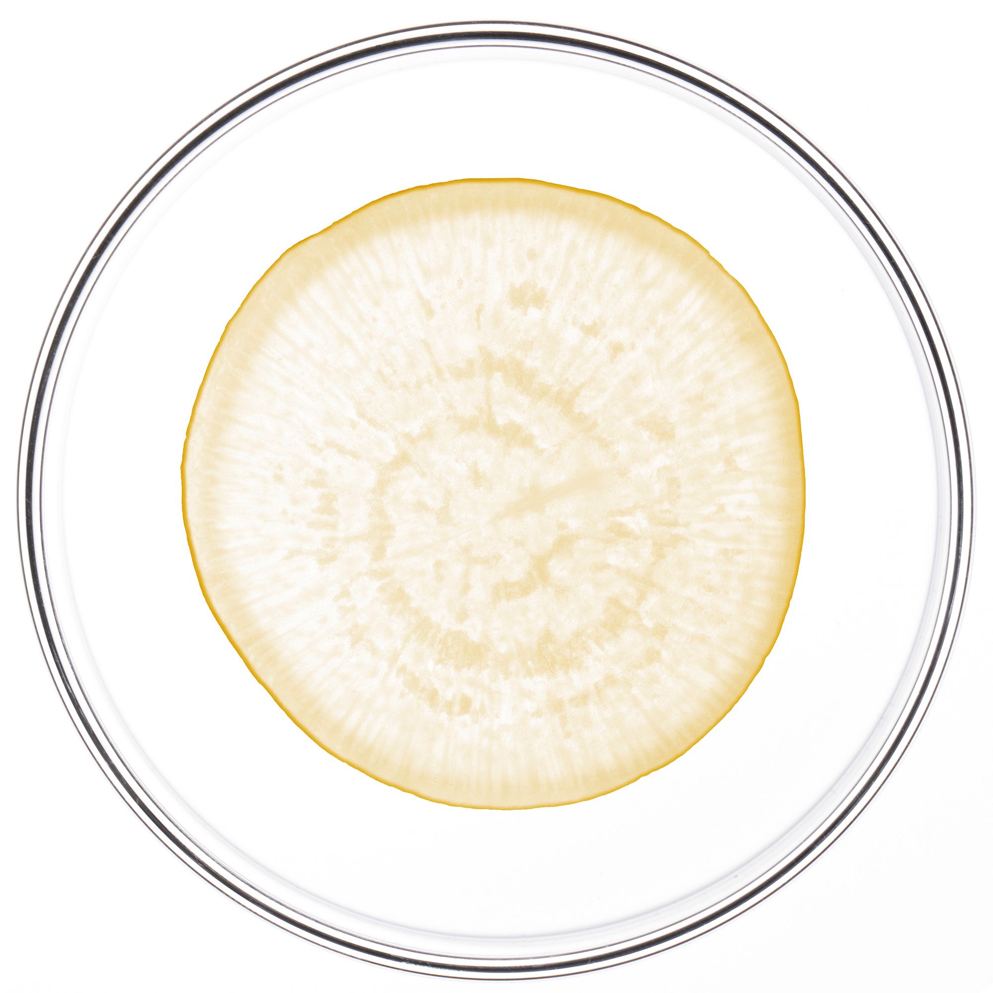 Donkerblauwe doos met ampul. Opschrift: PHYTO, PHYTOCYANE, behandeling tegen haaruitval. Bevat 12 ampullen.