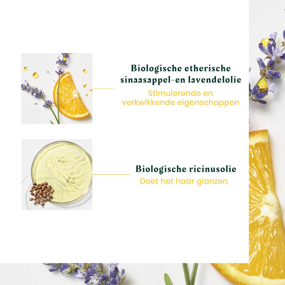 Fles met groene dop. Tekst: Complexe 5 Head Spa.