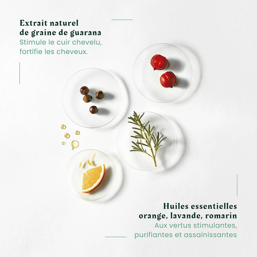 Graines de guarana, baies, branche de romarin, tranche d'orange et huile sur des boîtes de Pétri.