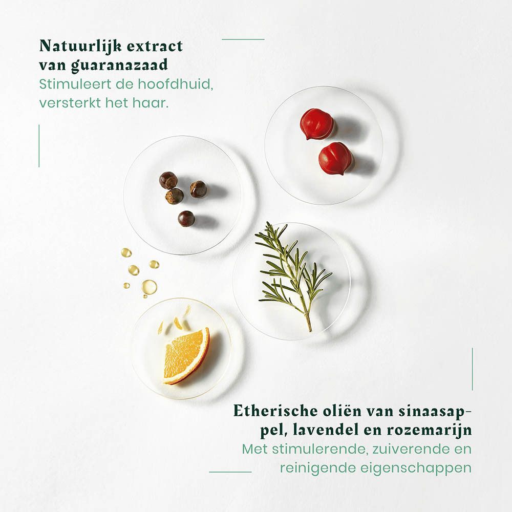 Ingrediënten voor haarverzorging: guarana-extract, rozemarijn, sinaasappel, bessen en etherische oliën op petrischalen.