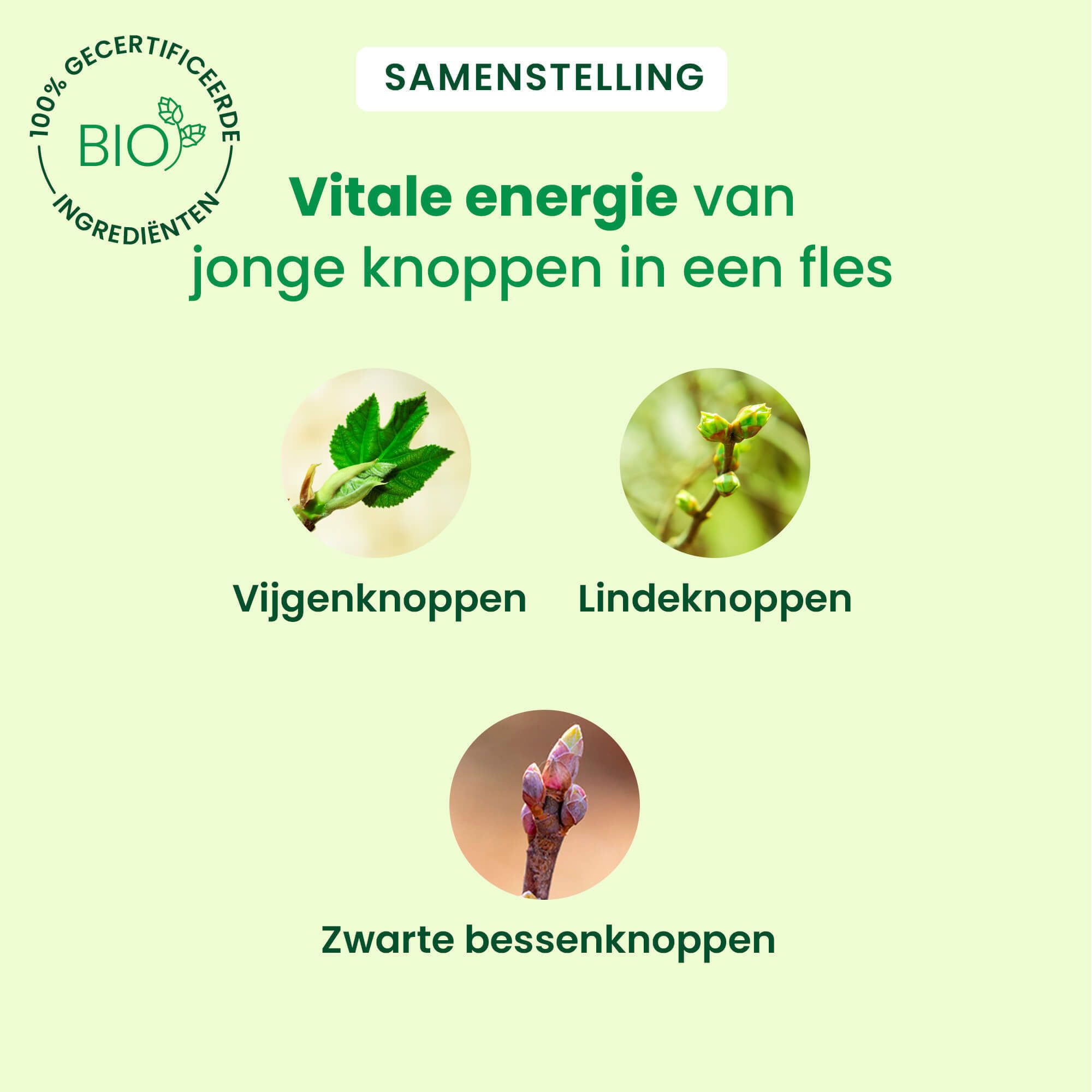 Ingrediënten: vijgenknoppen, lindeknoppen, zwarte bessenknoppen. Bio-gecertificeerd.