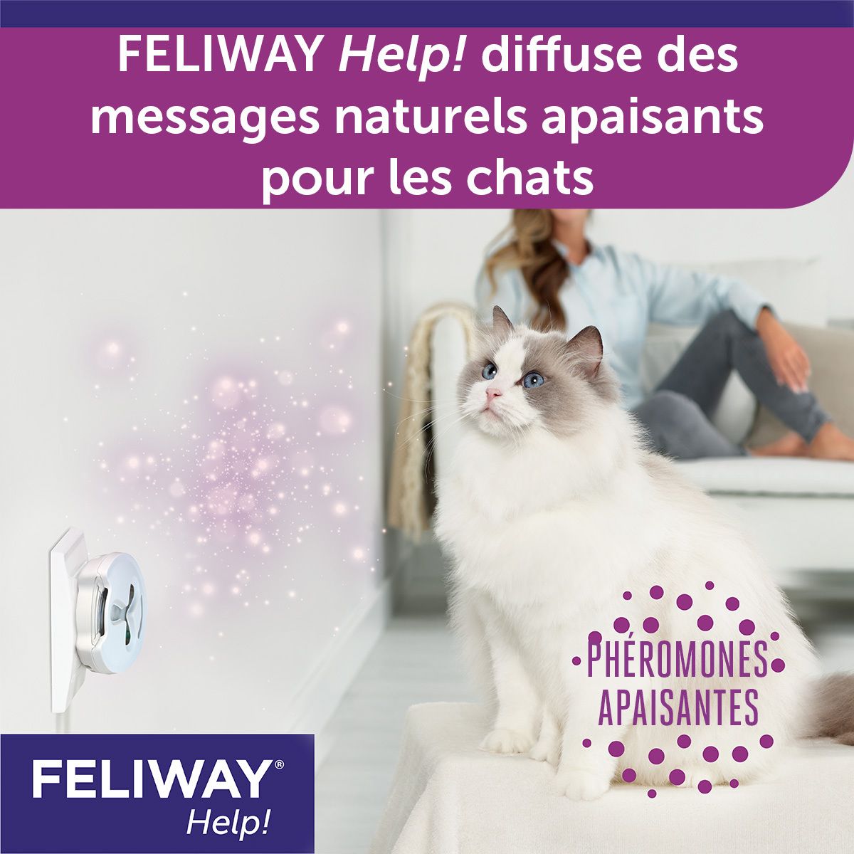 Feliway® Help! Recharge 3 Semaines