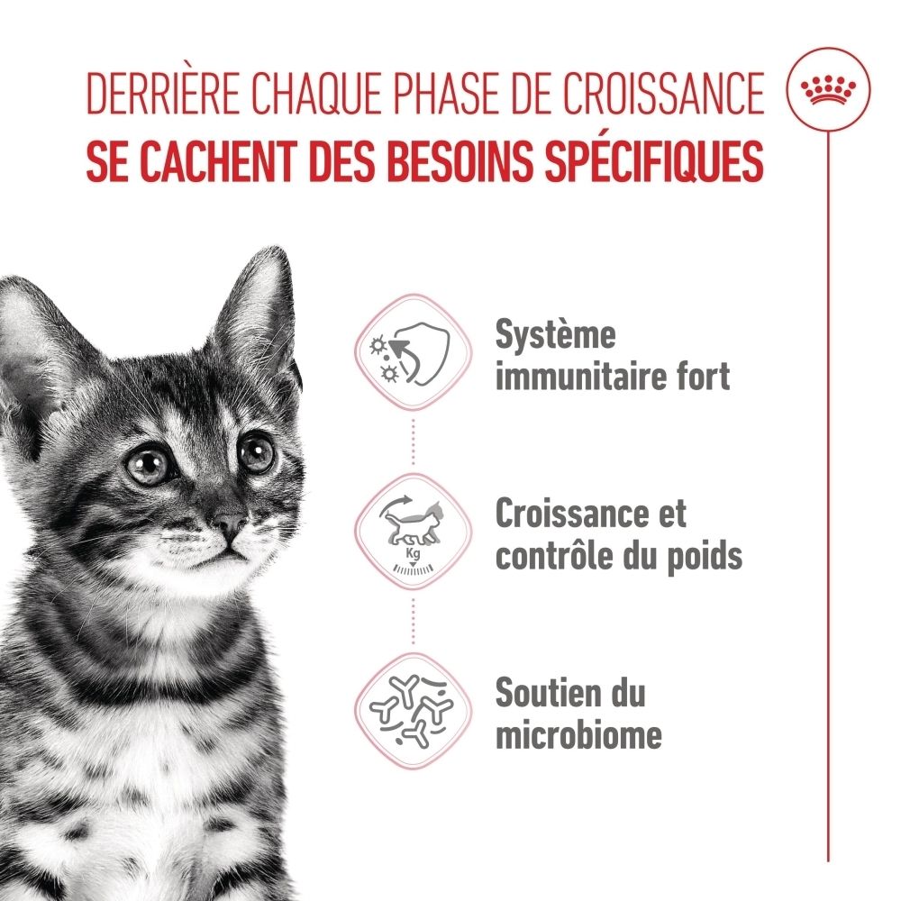 Sac Royal Canin KITTEN STERILISED 6-12 mois avec image de chaton et caractéristiques.