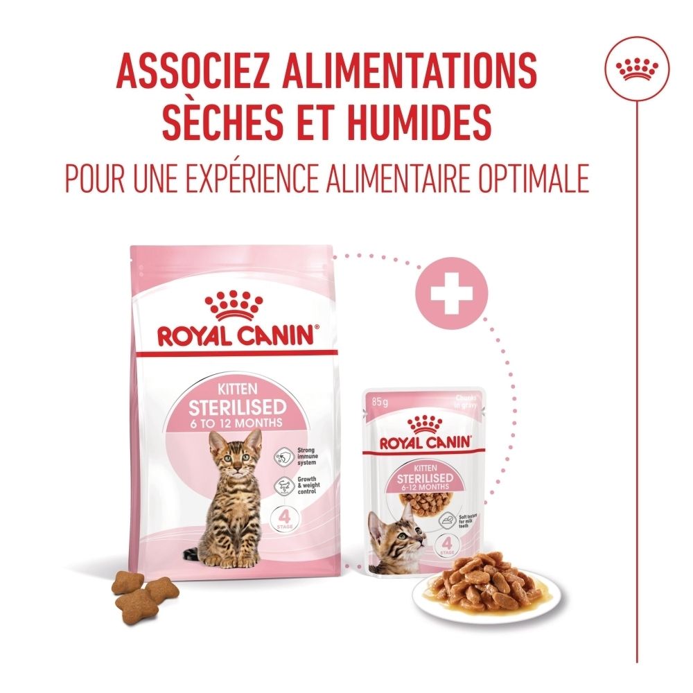 Combinaison de nourriture sèche et humide pour chats, sac et barquette Royal Canin.