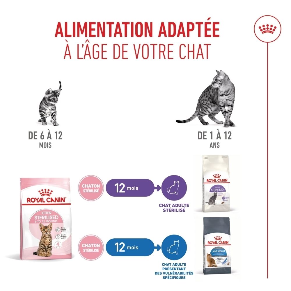 Évolution des chatons aux chats adultes avec recommandations alimentaires Royal Canin.