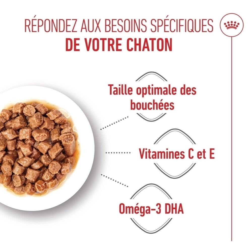 Nourriture humide pour chat en dés dans une gamelle blanche, avec texte sur la taille optimale des bouchées, vitamines C et E, Oméga-3 DHA.