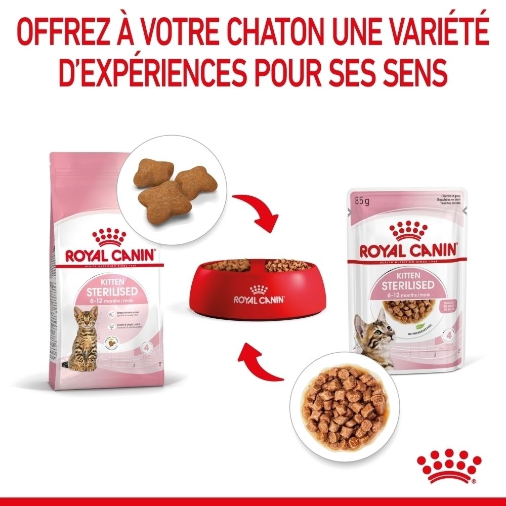 Croquettes et pâtée Royal Canin Kitten Sterilised dans une gamelle rouge.