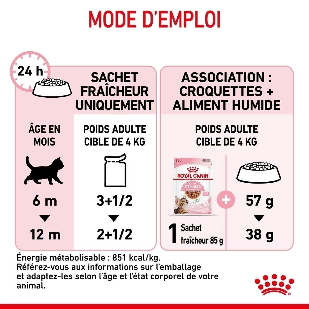Instructions d'alimentation pour chats : âge, poids et sachets de nourriture humide.