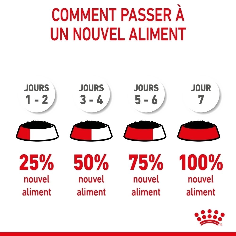 Guide de transition alimentaire: 4 étapes sur 7 jours avec une proportion croissante de nouvel aliment.