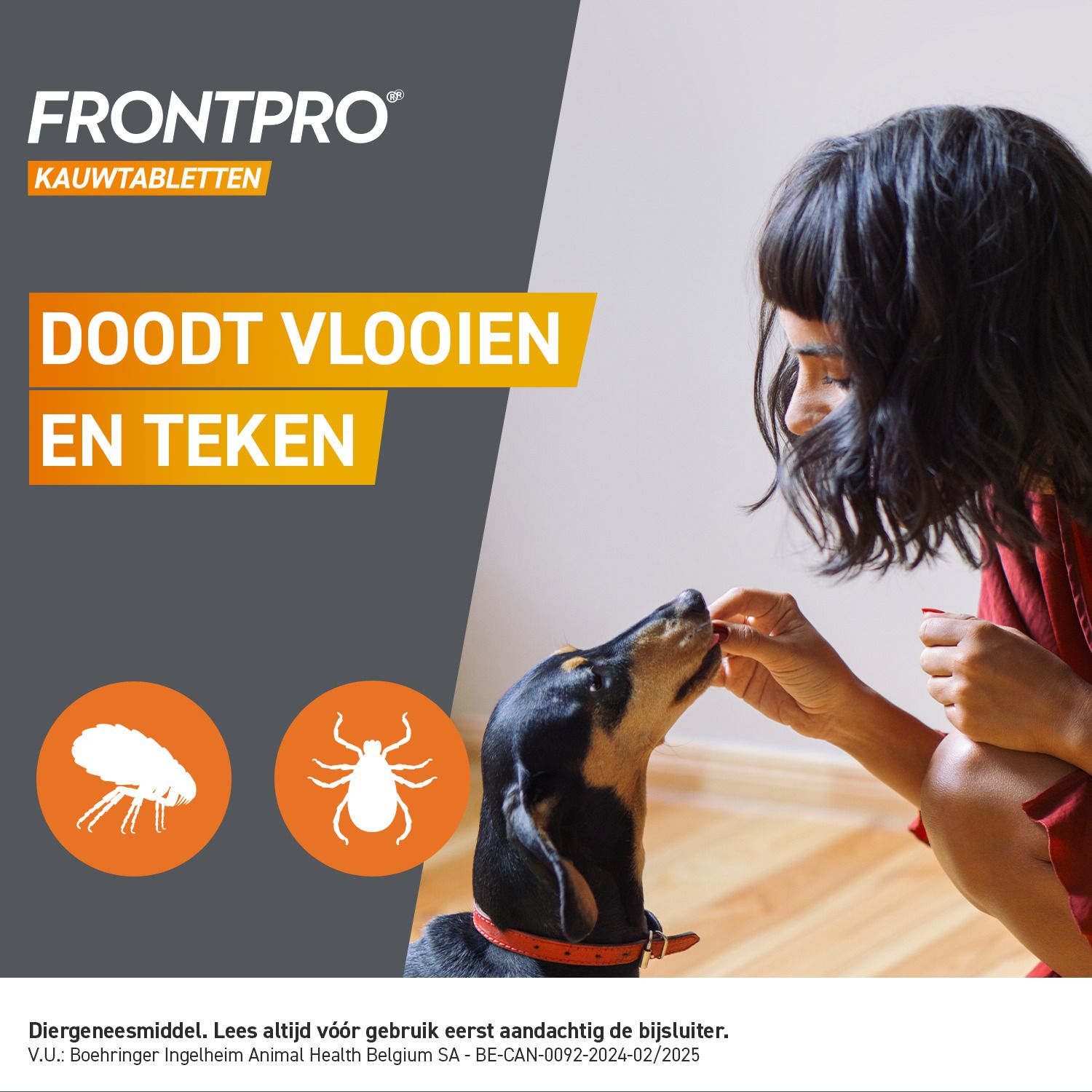 FRONTPRO Kauwtabletten voor honden (4-10kg) met een hond op de verpakking.