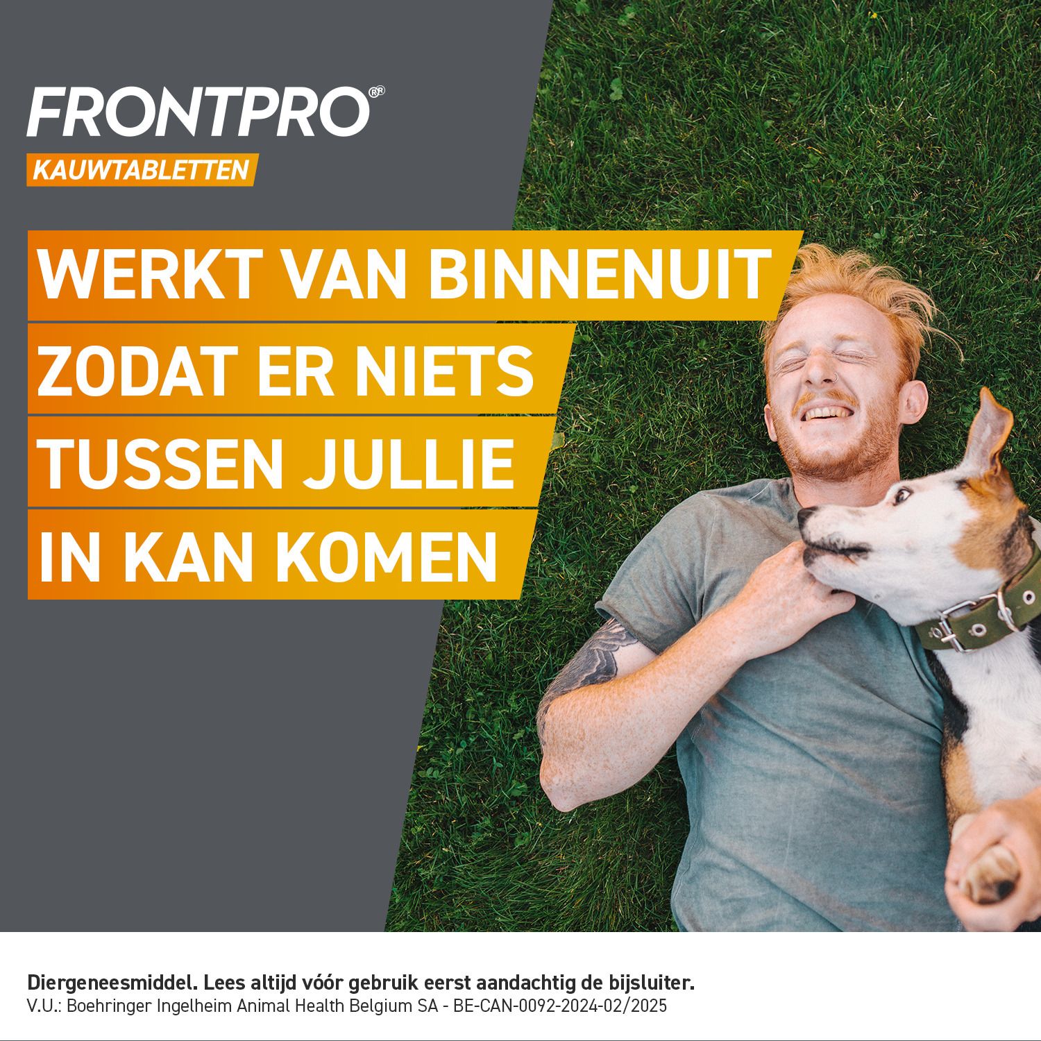 FRONTPRO Kauwtabletten voor honden >10-25 kg, 3 stuks. Met hond en teek-symbolen.