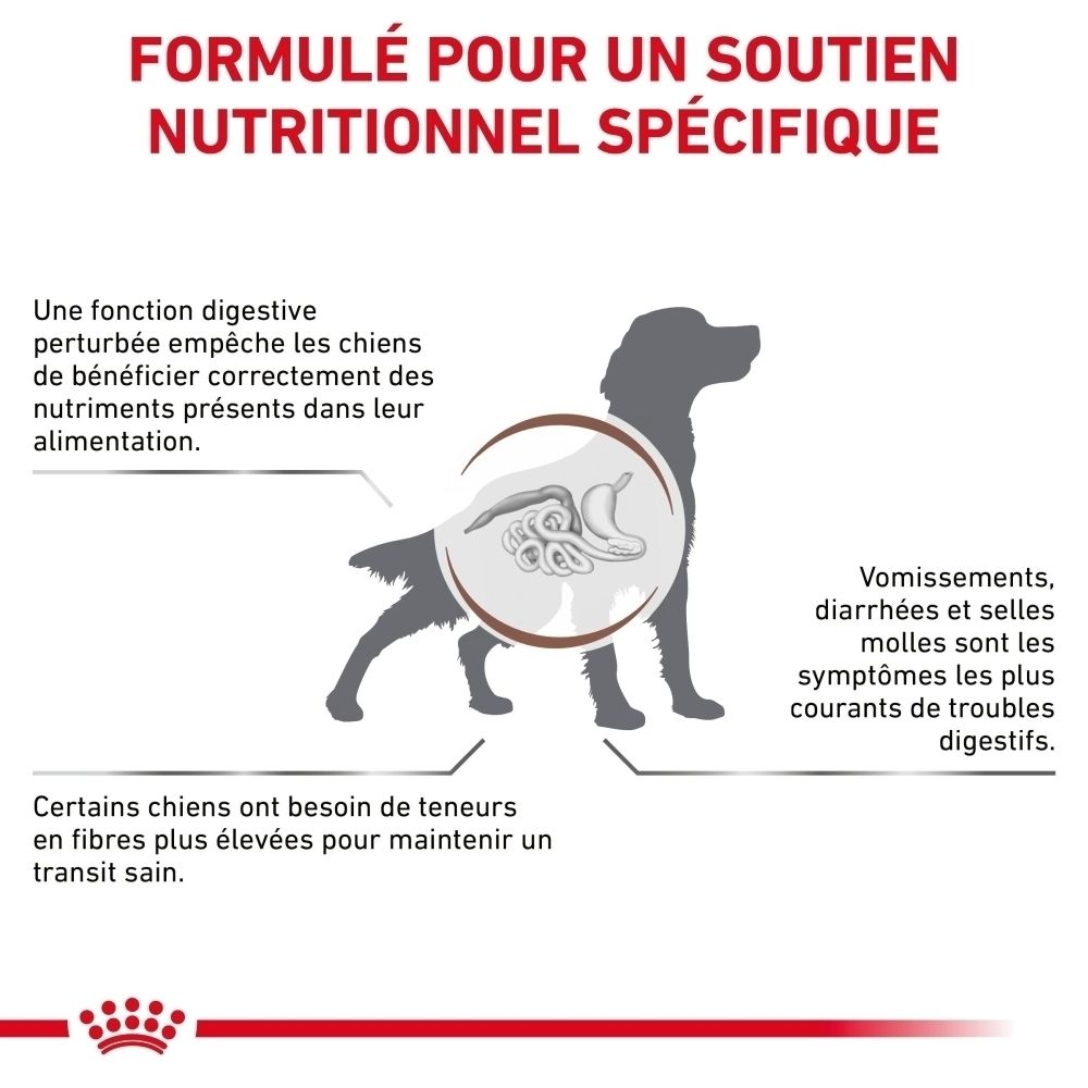 Graphique illustrant les problèmes digestifs chez les chiens et la nécessité d'une alimentation riche en fibres.