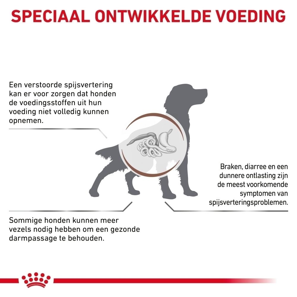 Grafiek die spijsverteringsproblemen bij honden en de behoefte aan vezelrijk voedsel illustreert.