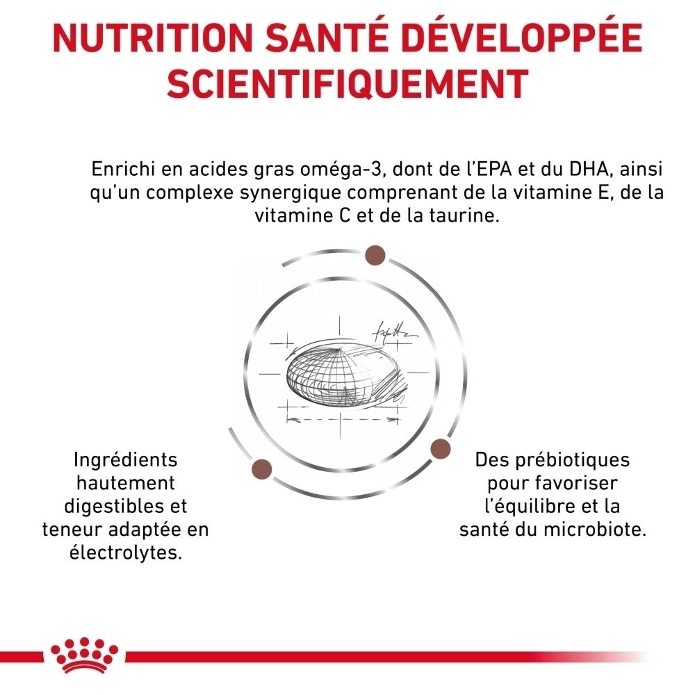 Graphique illustrant la composition nutritionnelle scientifiquement développée de Royal Canin Gastrointestinal.