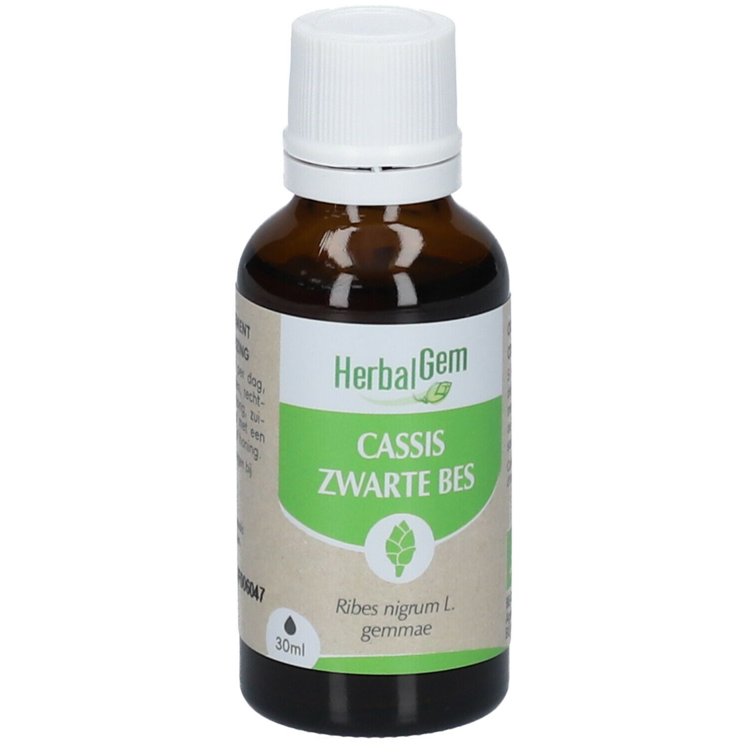 HerbalGem Cassis Bio