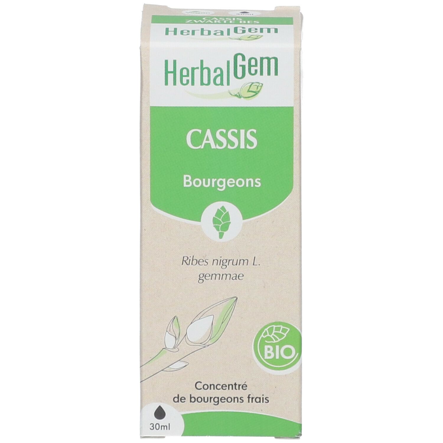 HerbalGem Cassis Bio