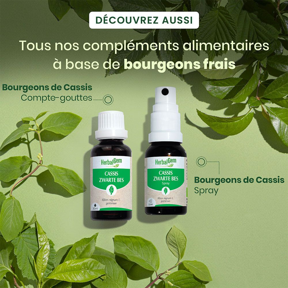 HerbalGem Zwarte Bes Bio