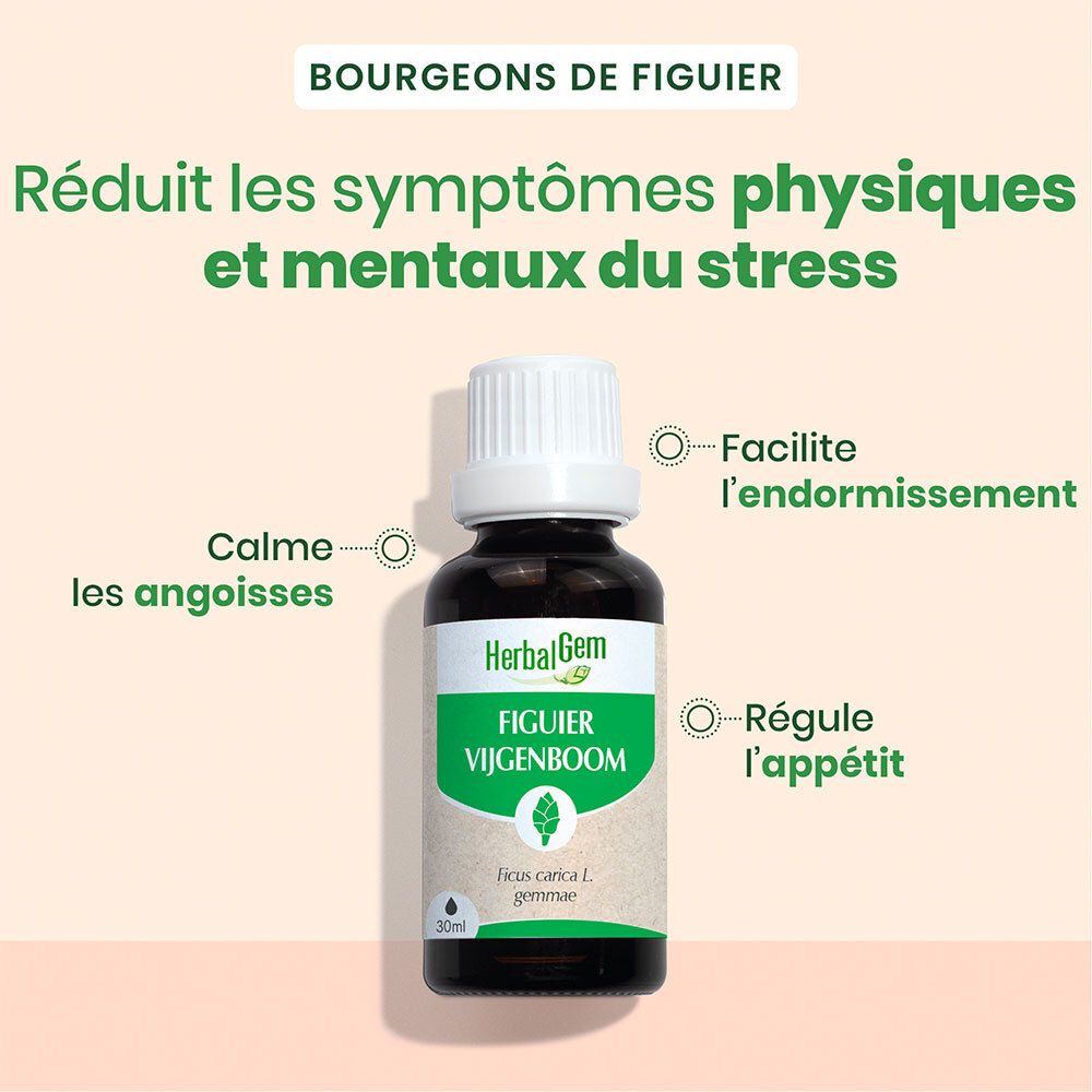 HerbalGem Figuier Bio