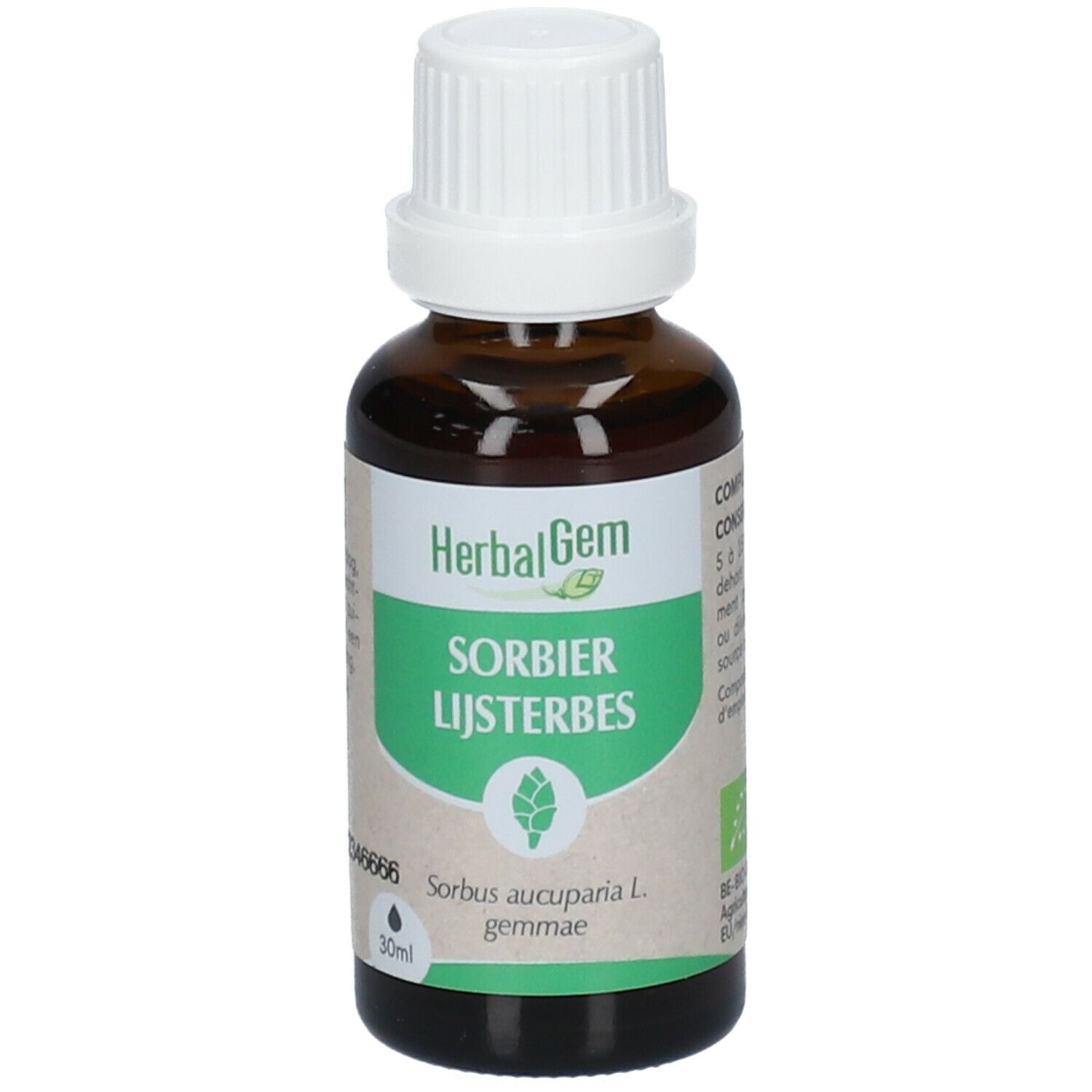 HerbalGem Sorbier Bio