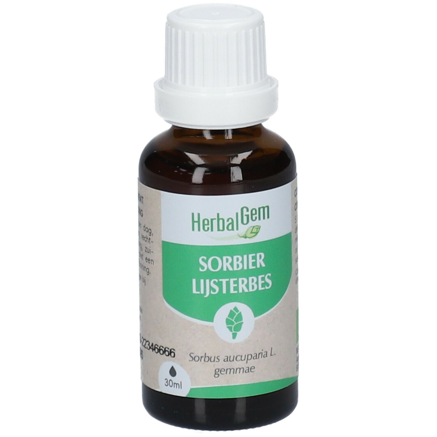 HerbalGem Sorbier Bio