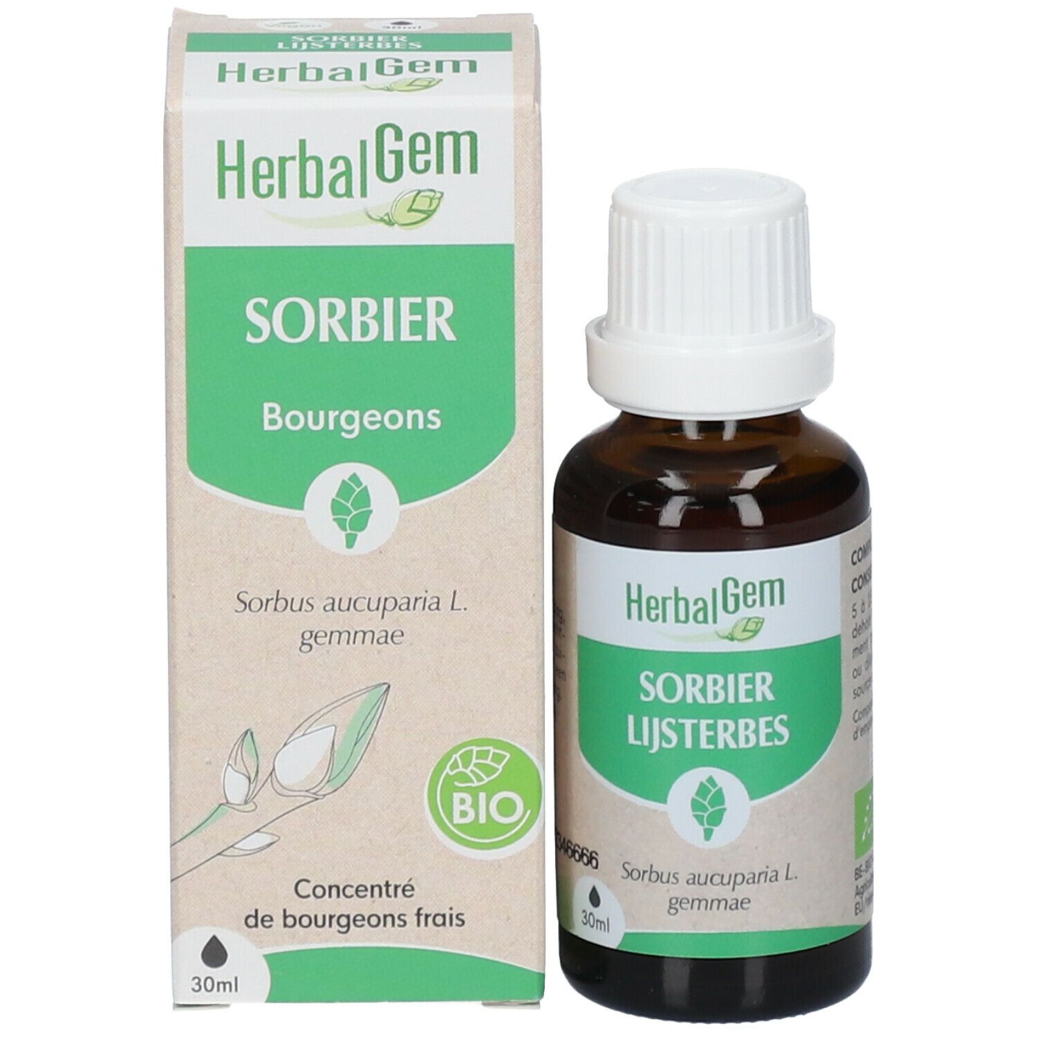 HerbalGem Sorbier Bio