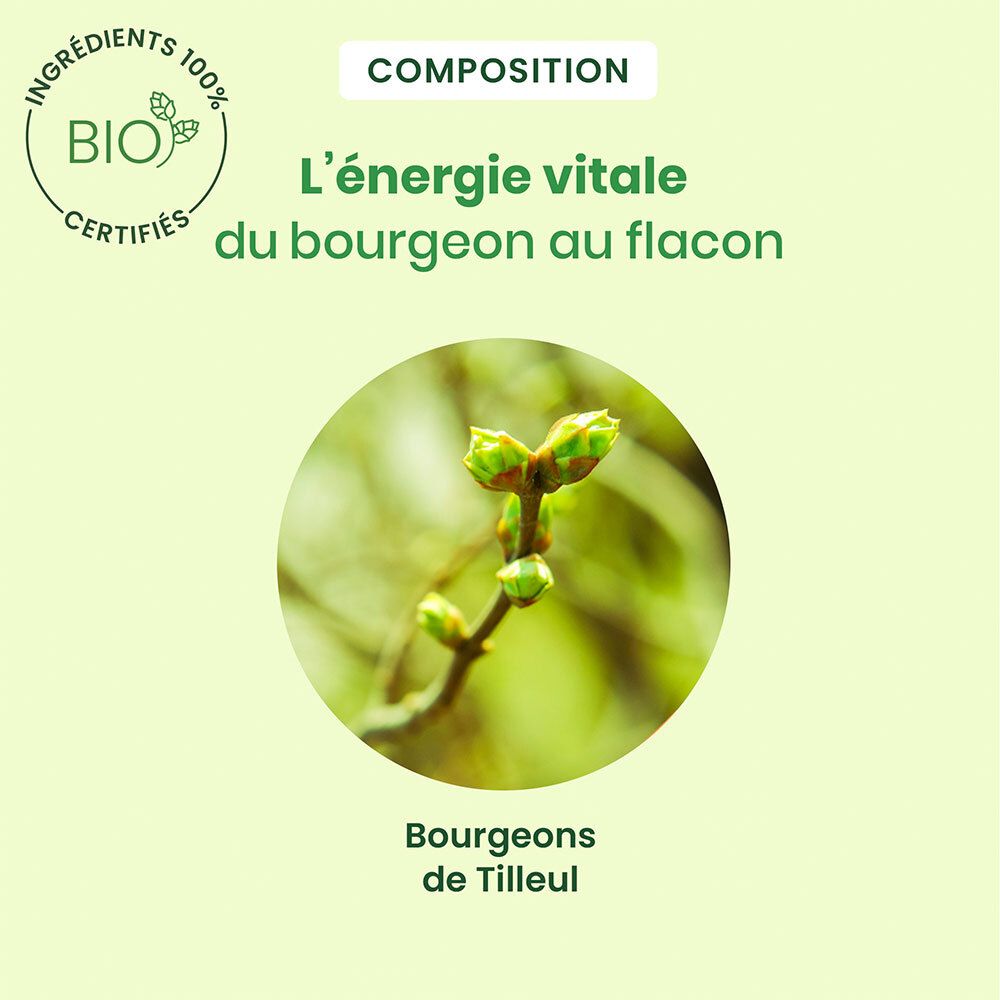 HerbalGem Tilleul Bio