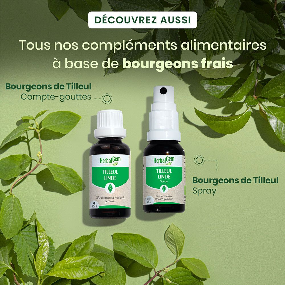 HerbalGem Tilleul Bio