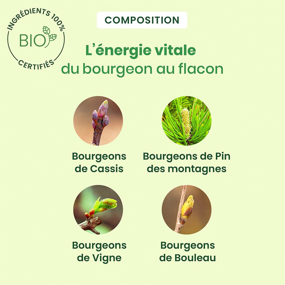 HerbalGem Artigem Bio