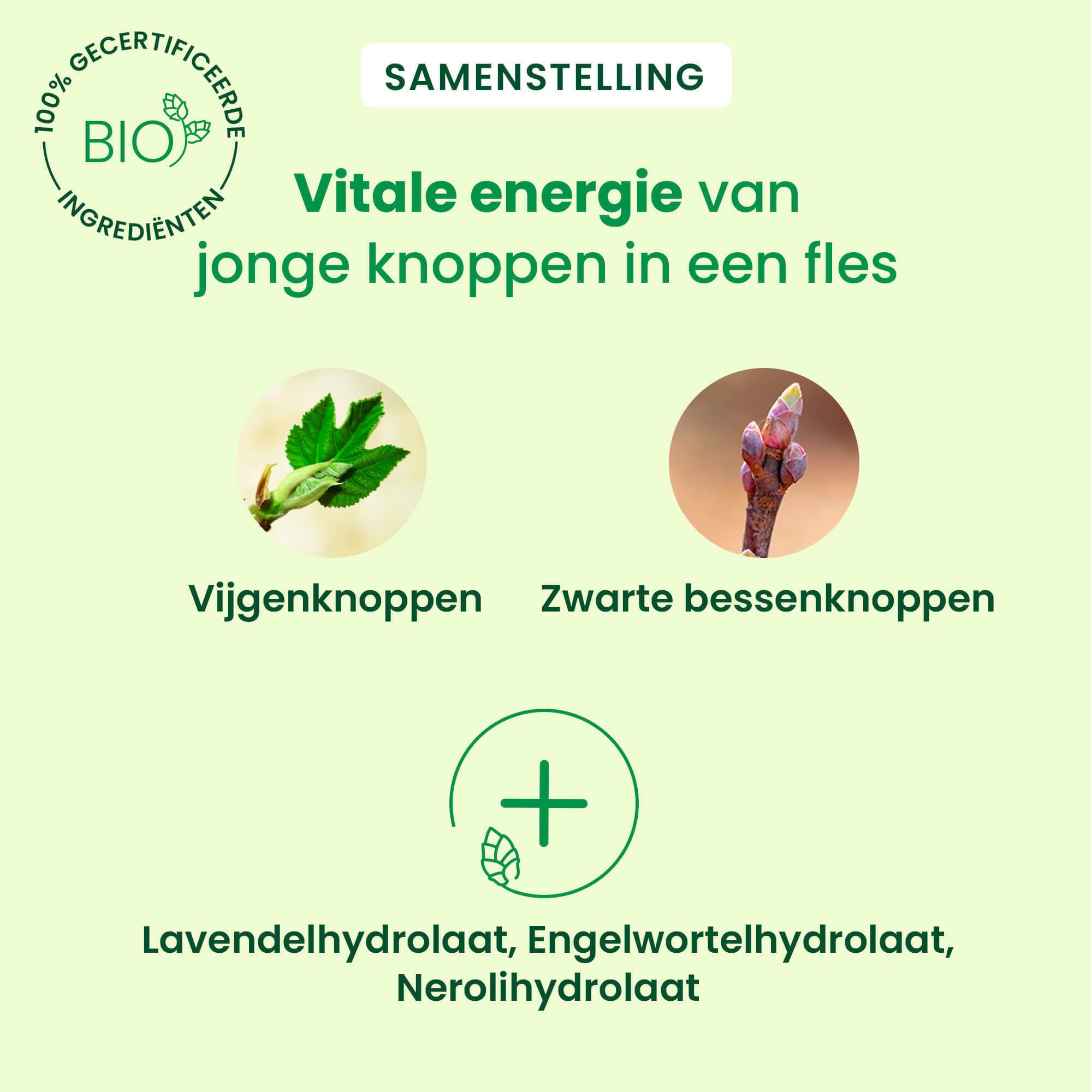 Samenstelling: Vijgenknoppen, zwarte bessenknoppen, hydrolaten van lavendel, engelwortel en neroli.