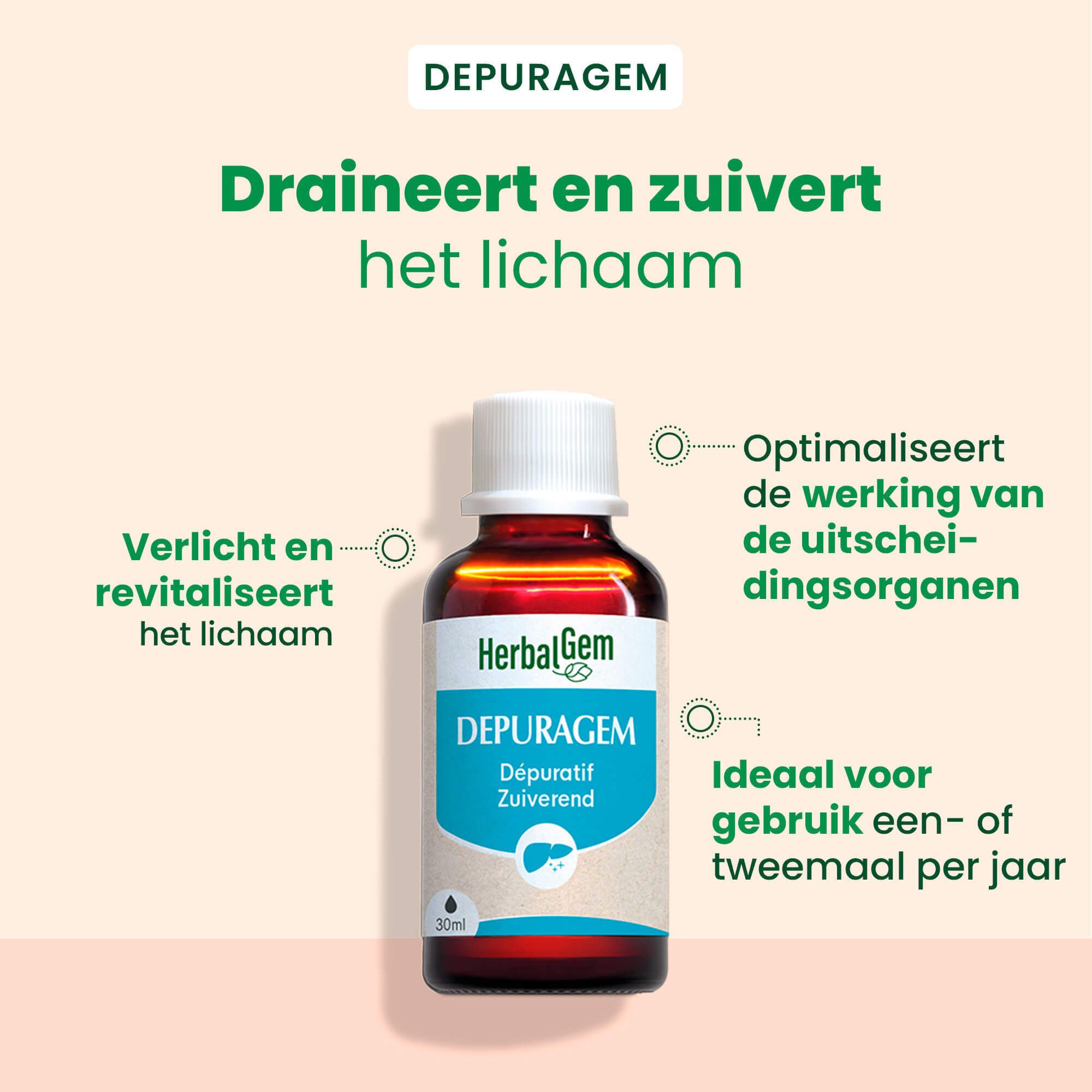 Grafiek met tekst: Vitale energie, ingrediënten. HerbalGem Depuragem.