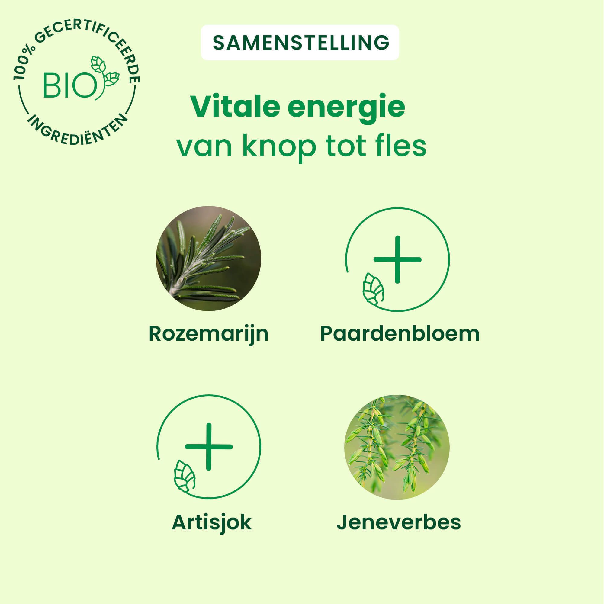 Grafiek met ingrediënten: Rozemarijn, Paardenbloem, Artisjok, Jeneverbes. Bio-certificering.