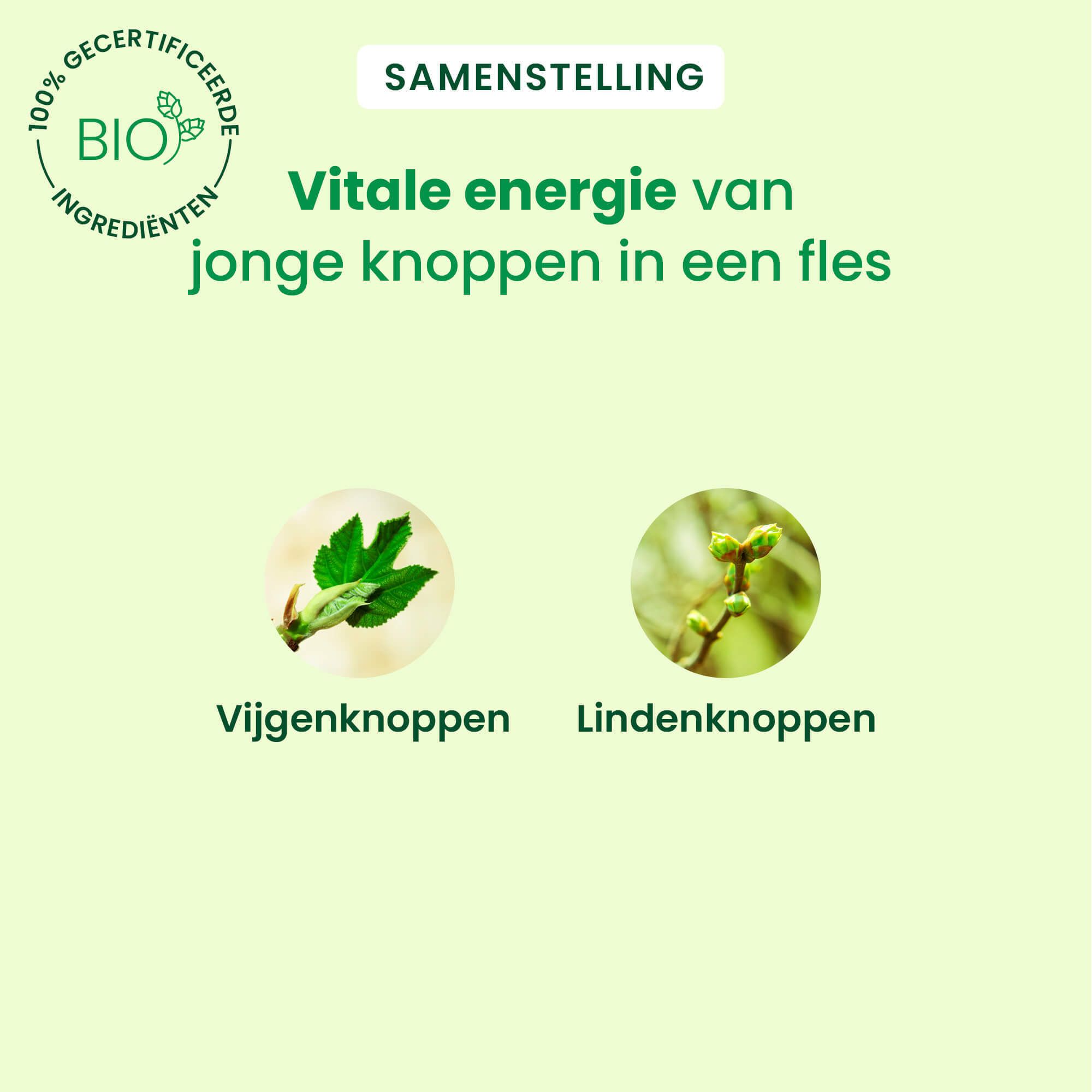 Twee cirkels met bladeren. Tekst: Vitale energie van jonge knoppen in een fles. Vijgenknoppen. Lindeknoppen.