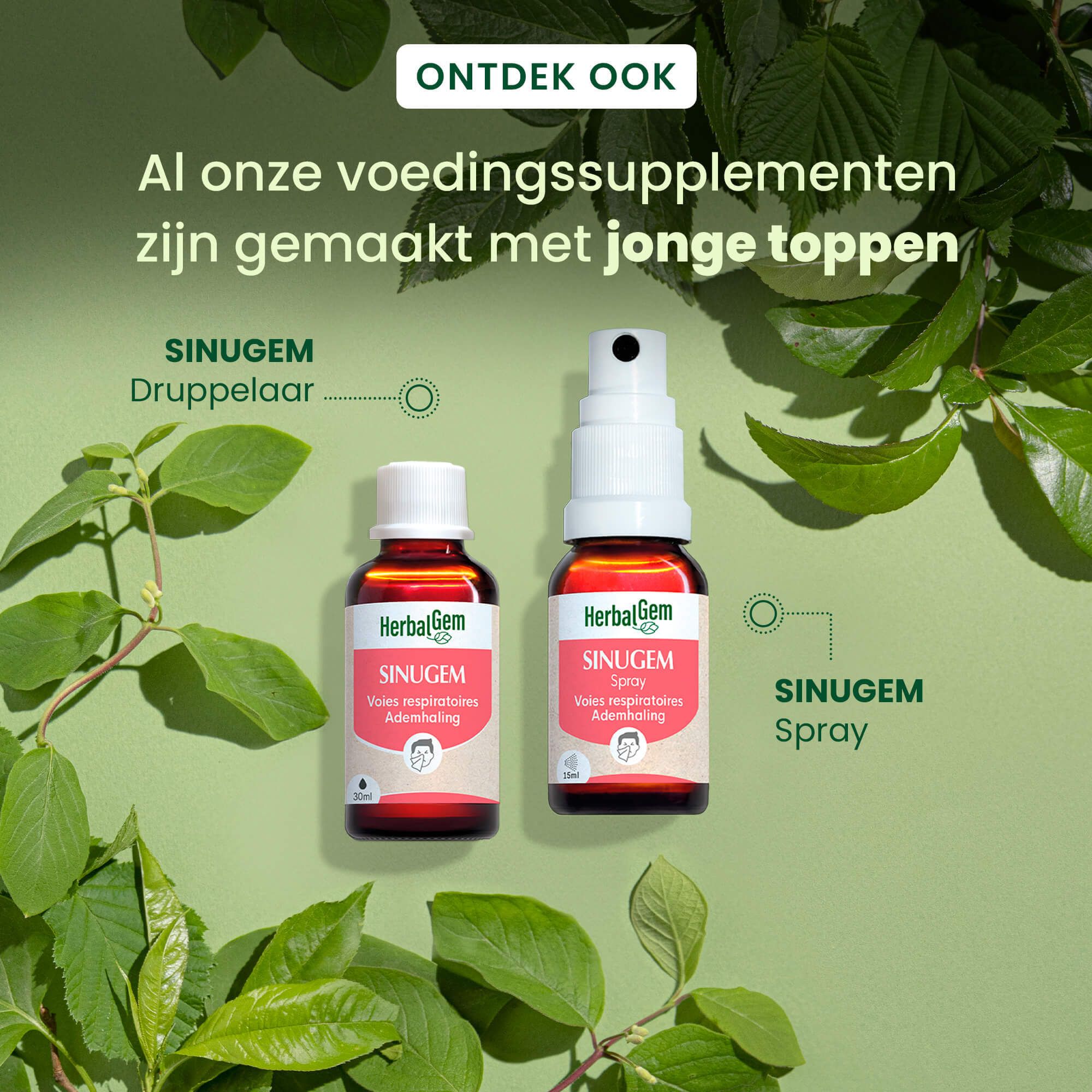 HerbalGem SINUGEM fles. Bruin glas, witte dop. Opschrift SINUGEM, Voies respiratoires, Ademhaling. Bio-certificering.