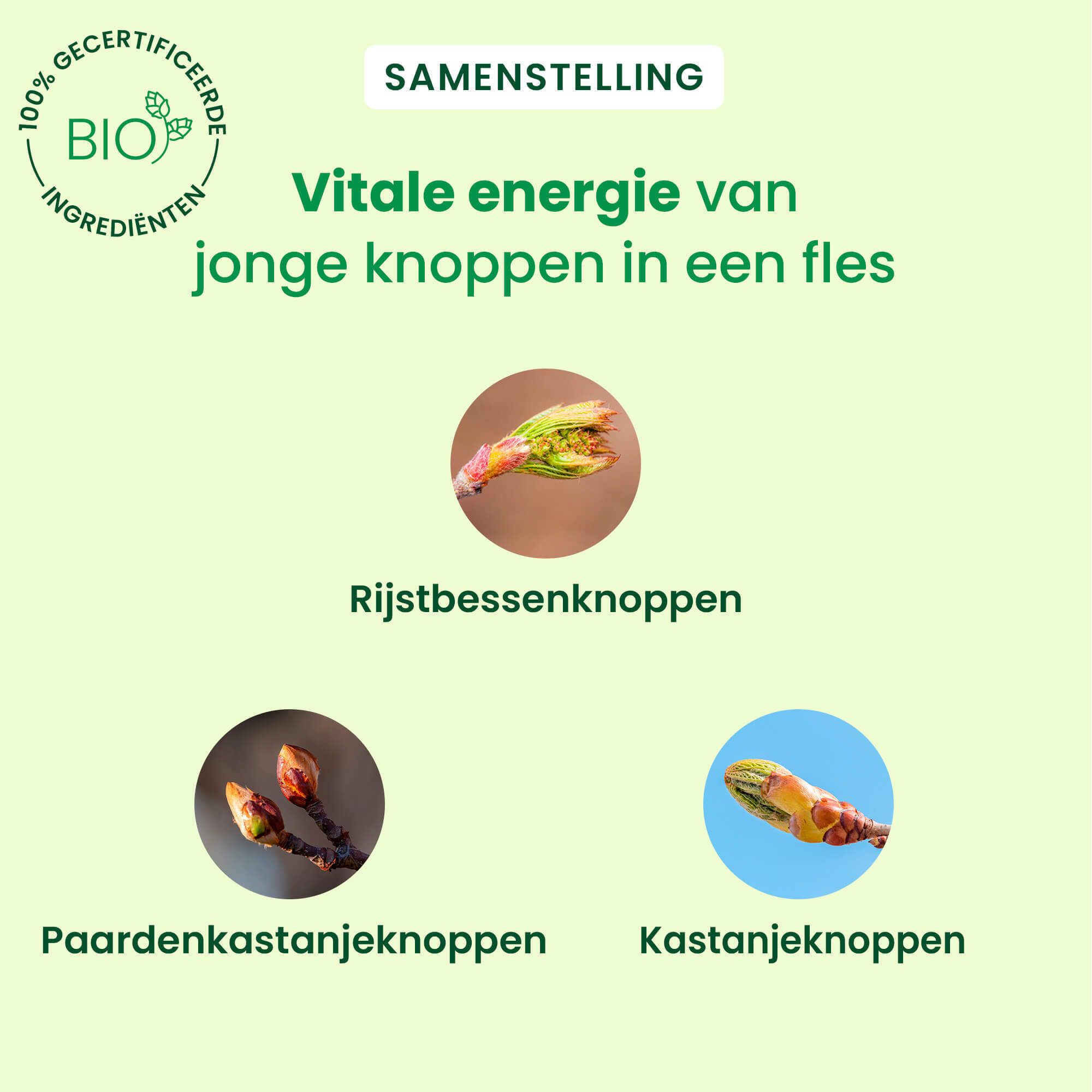 Grafiek met drie afbeeldingen van knoppen. Tekst: 'Vitale energie van jonge knoppen in een fles'.