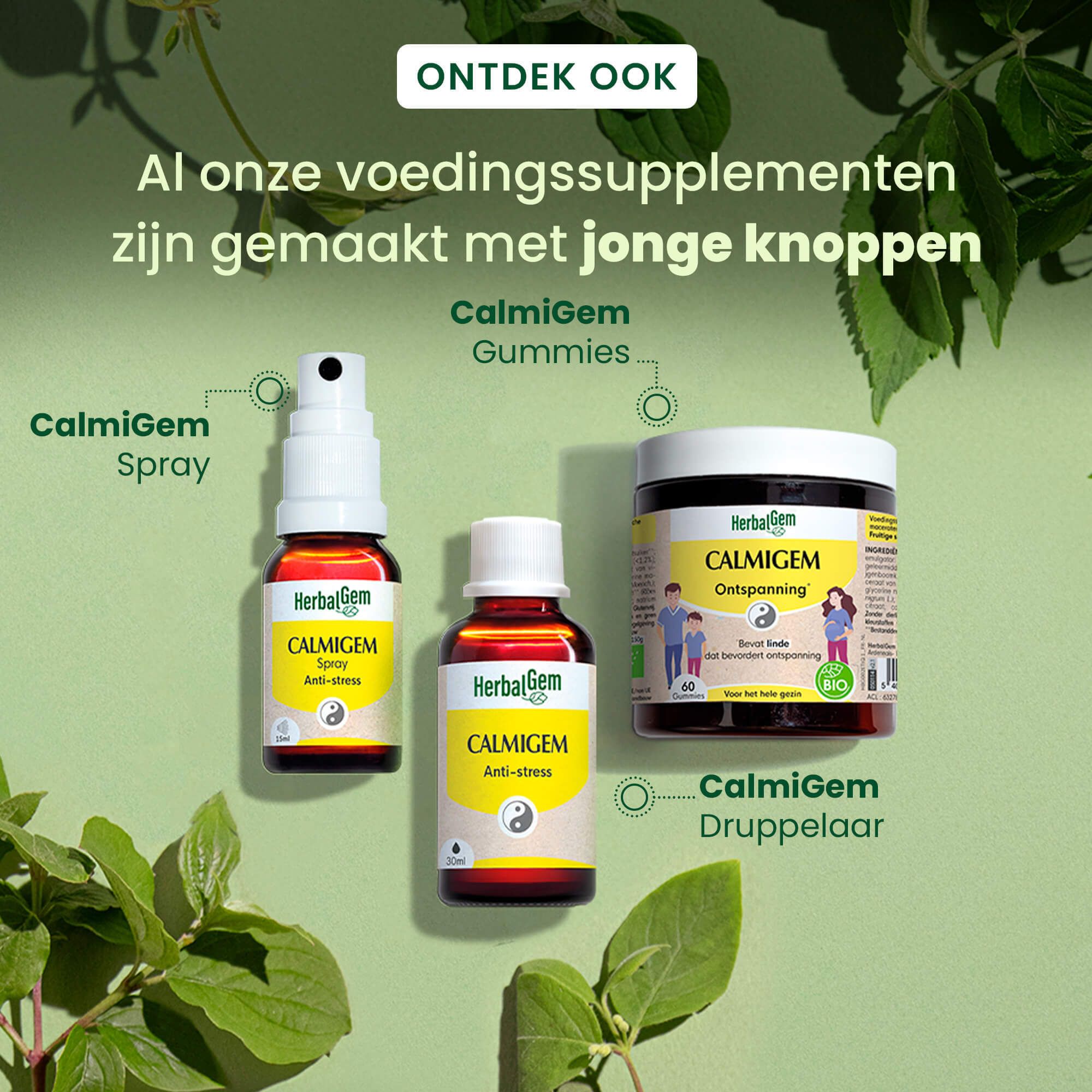 Drie HerbalGem-producten: Calmigem Spray, Gummies en Druppelaar. Tekst: Al onze voedingssupplementen zijn gemaakt met jonge knoppen.