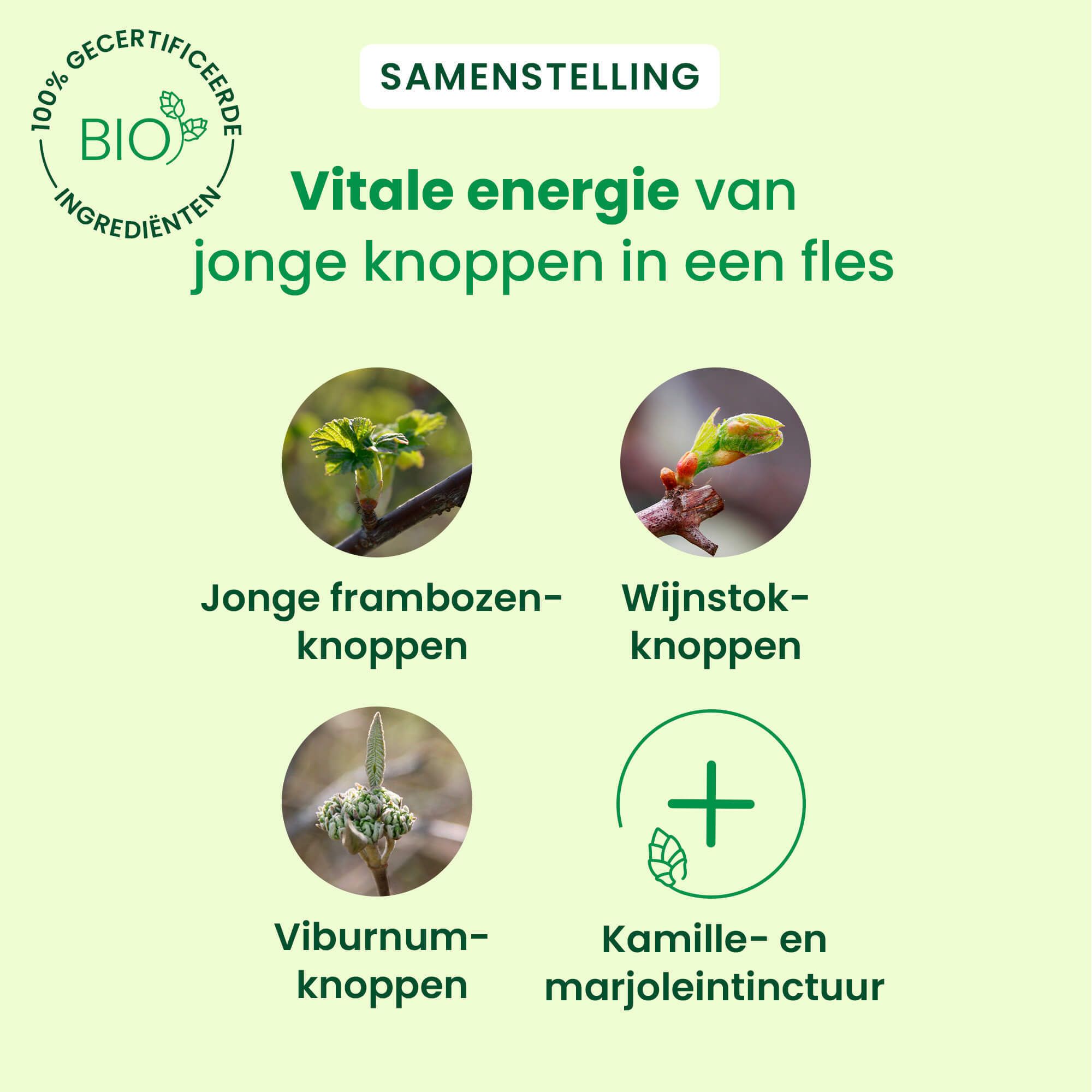 Samenstelling: Jonge frambozenknoppen, wijnstok-knoppen, viburnum-knoppen, kamille- en marjoleintinctuur.