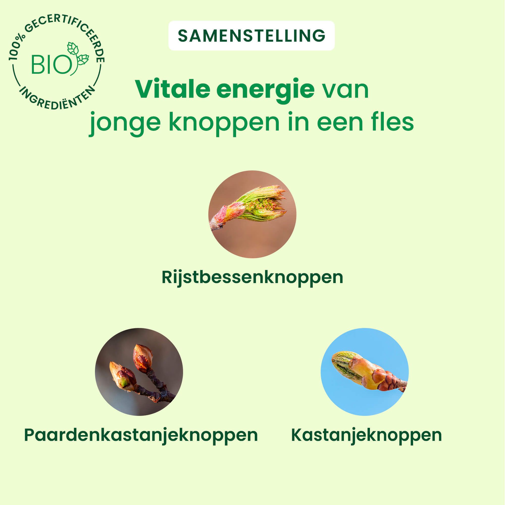 Venagem Spray fles. Opschrift: HerbalGem Spray, Zware benen. 15ml. Bio-label. Illustratie been.