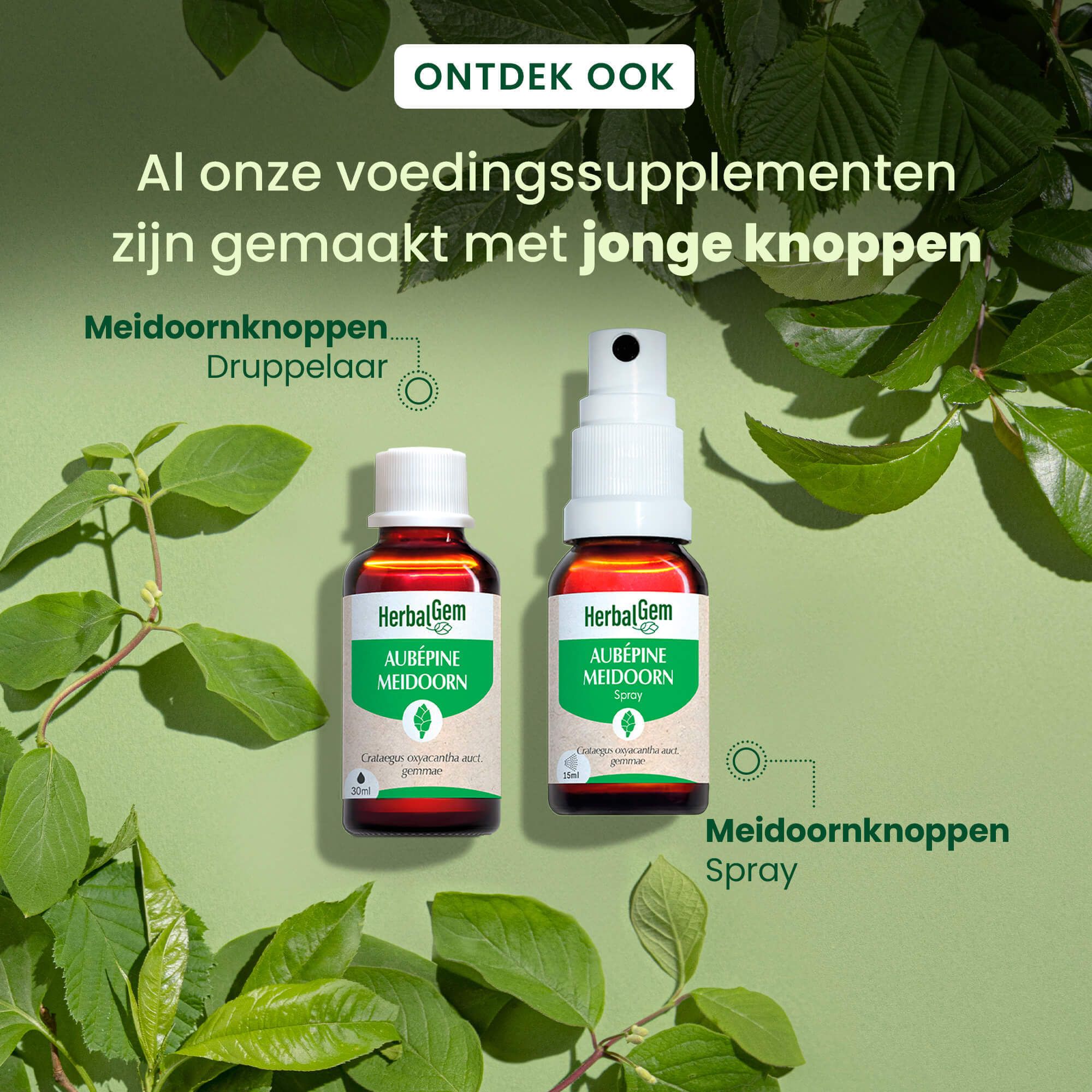 Persoon spuit in de mond. Tekst: 1 orale spray maximaal 5 keer per dag, buiten de maaltijden. Spray-symbool.