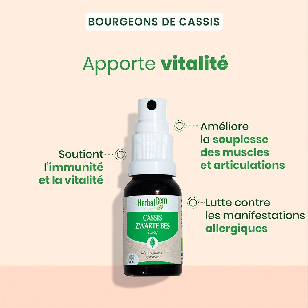 HerbalGem Cassis Bio