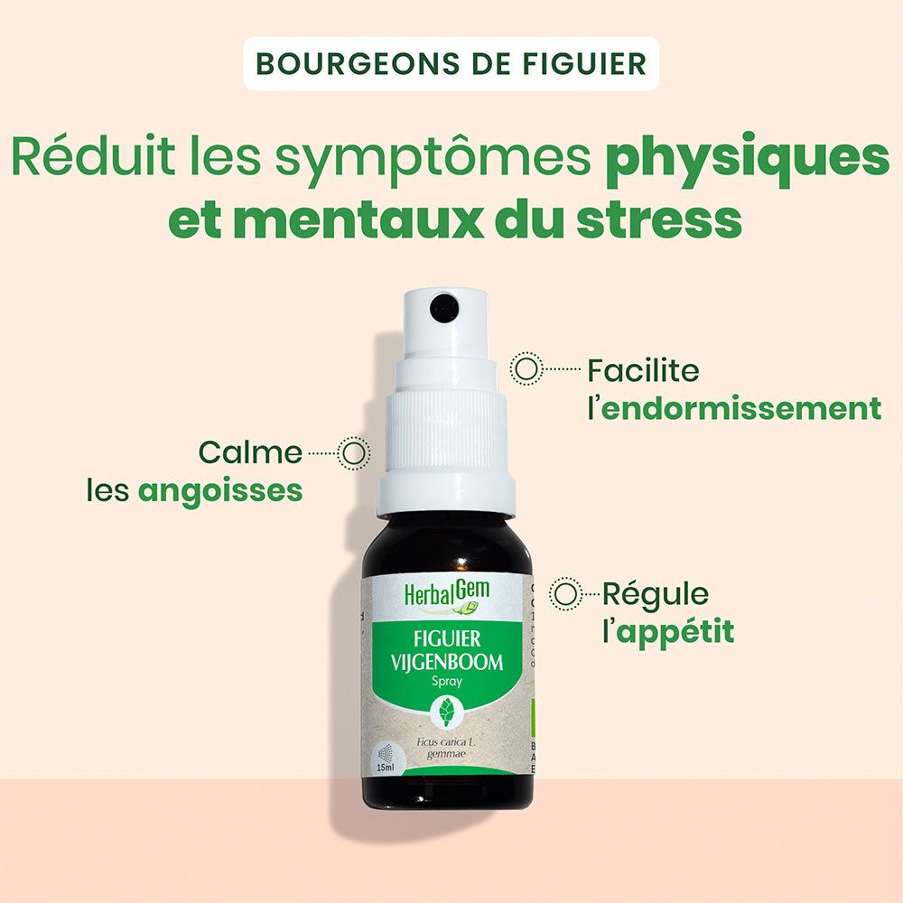 HerbalGem Vijgenboom Bio