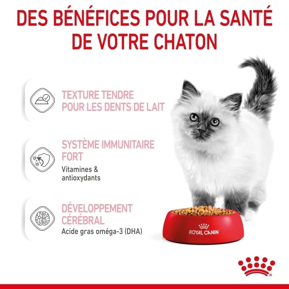 Croquettes pour chat dans une gamelle rouge avec logo Royal Canin. Avantages listés à gauche.
