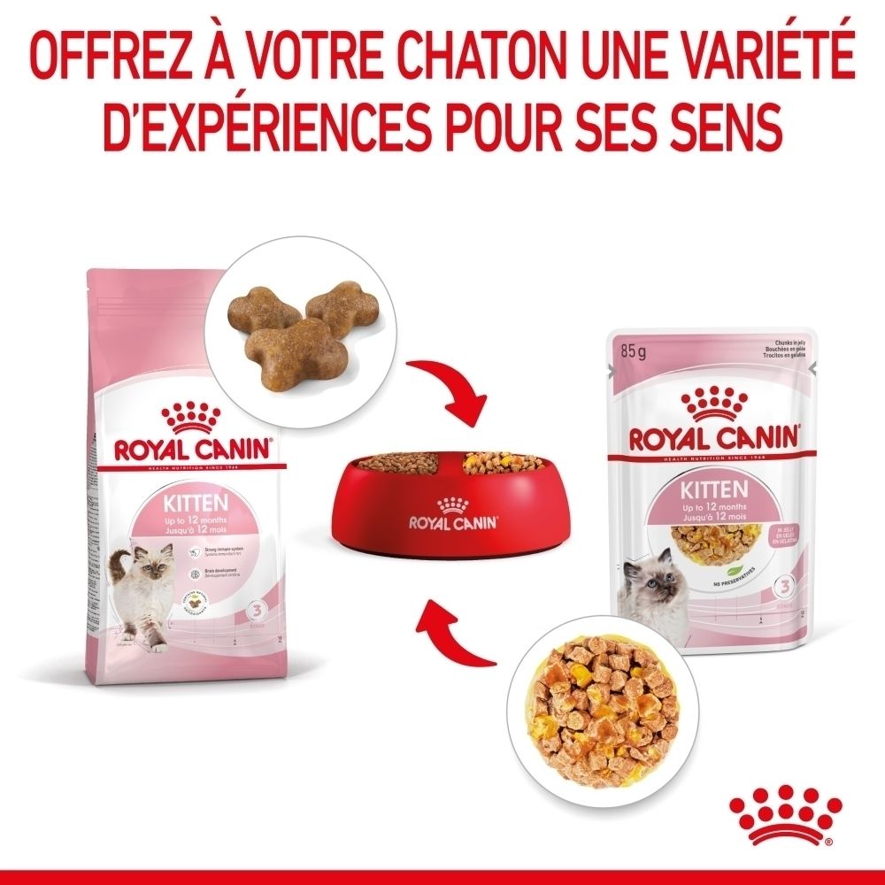 Nourriture Royal Canin pour chaton : sac de croquettes, croquettes, gamelle et sachet de nourriture humide.