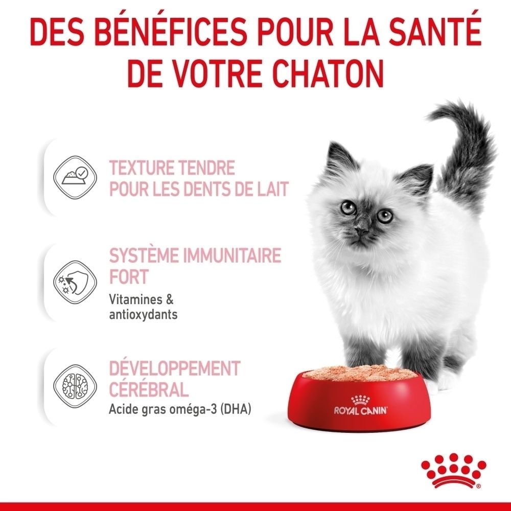 Nourriture pour chat : texture tendre, système immunitaire fort, développement cérébral. Contient des oméga-3.