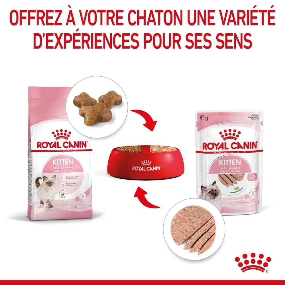 Nourriture Royal Canin pour chaton : sac de croquettes, sachet et gamelle avec croquettes et nourriture humide.