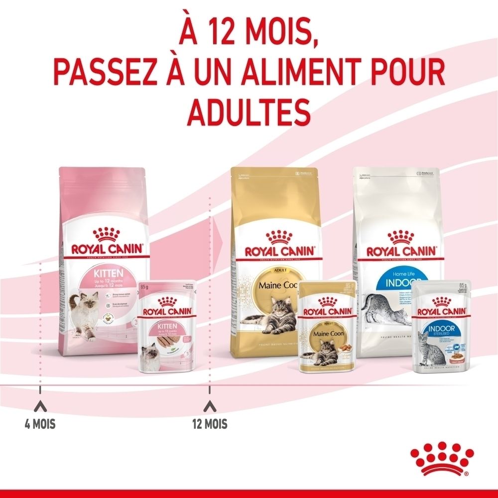 Nourriture pour chats Royal Canin : Kitten, Maine Coon et Indoor en différentes tailles de sacs.