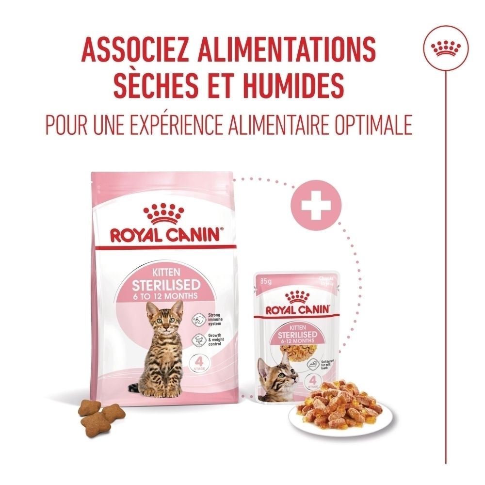 Royal Canin Kitten Sterilised croquettes et nourriture humide pour chatons de 6 à 12 mois.